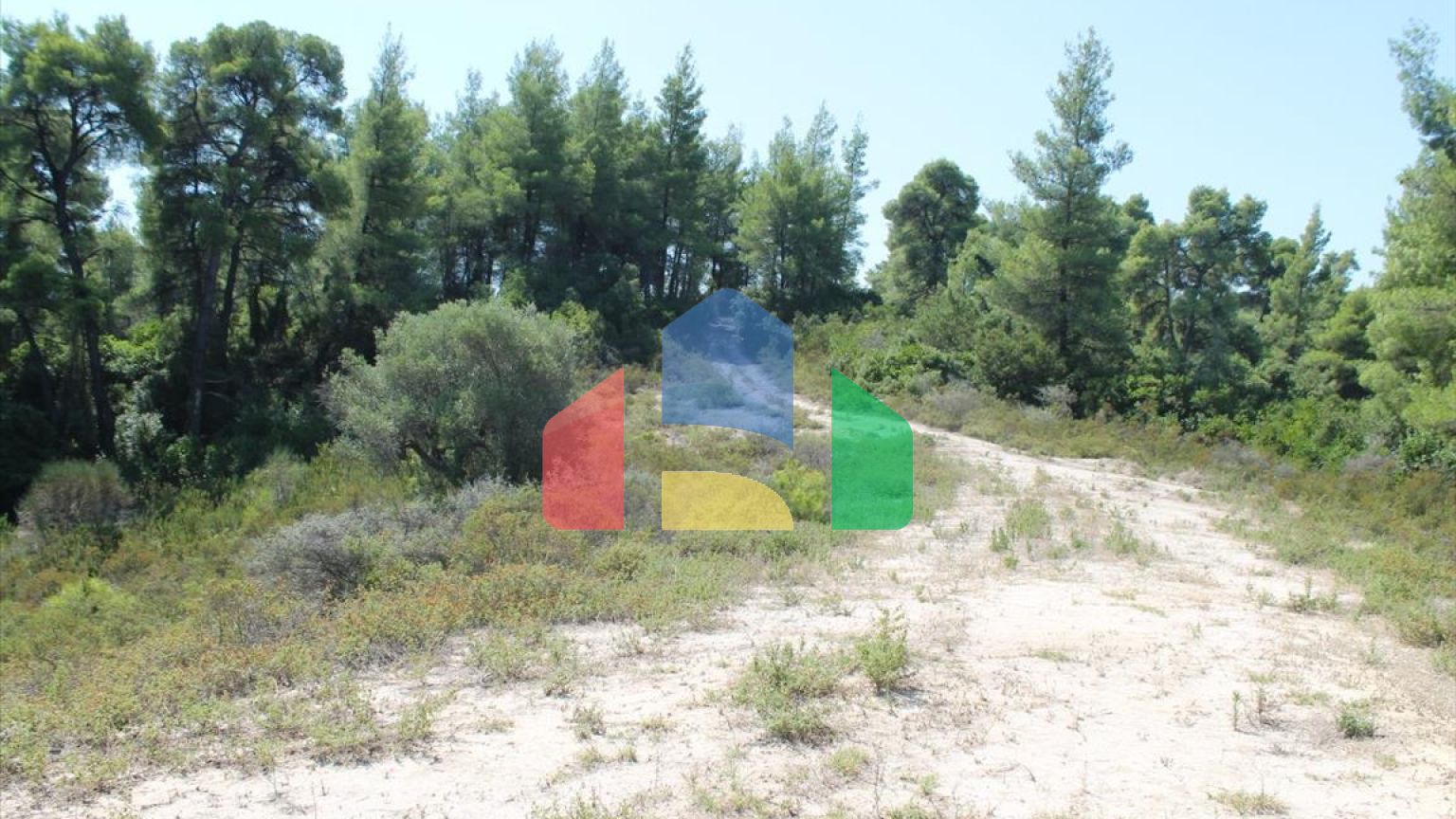 Продаж - Земельна ділянка 13000 m² на Кассандрі (Халкідіки)