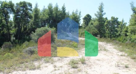 Продаж - Земельна ділянка 13000 m² на Кассандрі (Халкідіки) Продаж - Земельна ділянка 13000 m² на Кассандрі (Халкідіки)