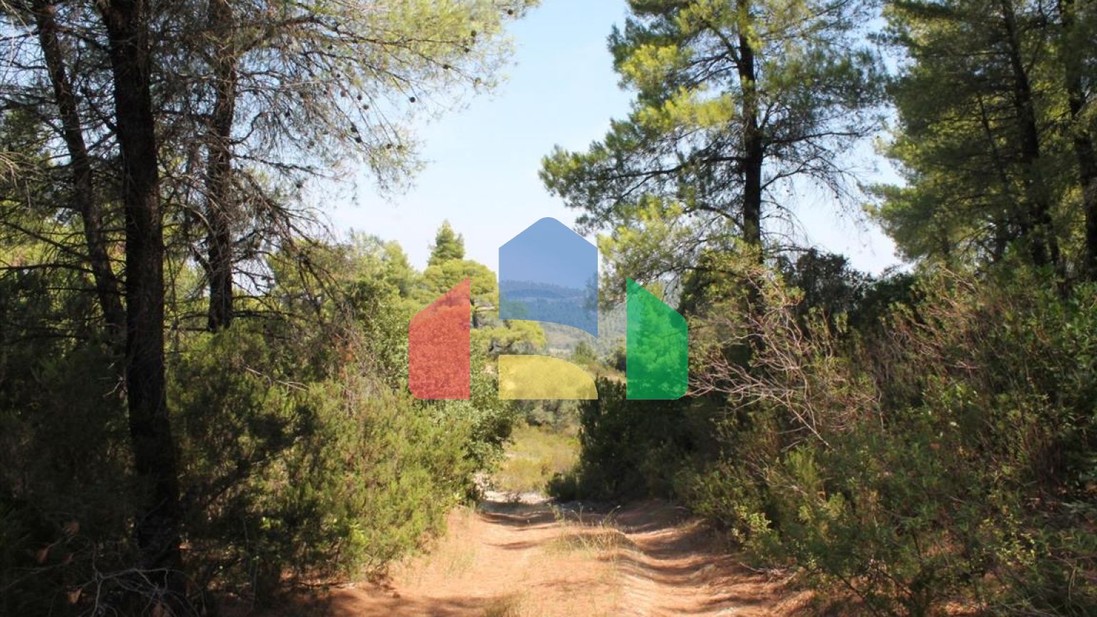 Продаж - Земельна ділянка 13000 m² на Кассандрі (Халкідіки)