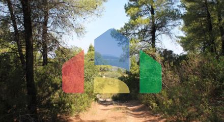 Продаж - Земельна ділянка 13000 m² на Кассандрі (Халкідіки) Продаж - Земельна ділянка 13000 m² на Кассандрі (Халкідіки)