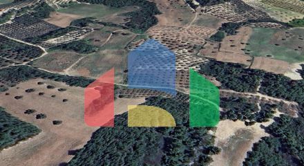 For Sale - Land 4005 m² in Kassandra, Chalkidiki