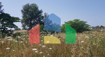 Продаж - Земельна ділянка 2000 m² на Кассандрі (Халкідіки)