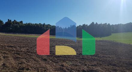 Продажа - Земельный участок 9500 m² на Кассандре (Халкидики)
