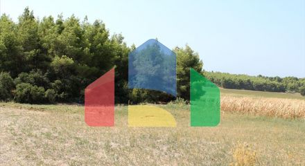 Продажа - Земельный участок 36000 m² на Кассандре (Халкидики)