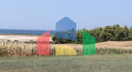 Продажа - Земельный участок 36000 m² на Кассандре (Халкидики)
