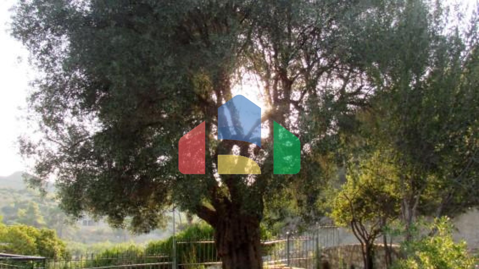 Продаж - Котедж 140 m² на Кассандрі (Халкідіки)