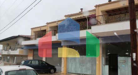 For Sale - Business 416 m² in Kassandra, Chalkidiki