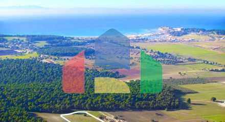 For Sale - Land 16000 m² in Kassandra, Chalkidiki