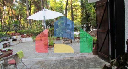 Продаж - Котедж 105 m² на Кассандрі (Халкідіки) Продаж - Котедж 105 m² на Кассандрі (Халкідіки)