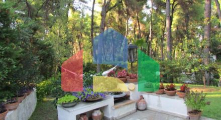 Продаж - Котедж 105 m² на Кассандрі (Халкідіки) Продаж - Котедж 105 m² на Кассандрі (Халкідіки)