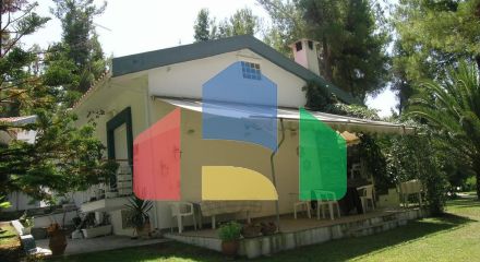 Продажа - Коттедж 110 m² на Кассандре (Халкидики)