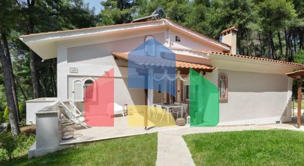 Продаж - Готель 395 m² на Кассандрі (Халкідіки)