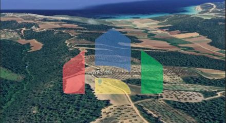 Продаж - Земельна ділянка 8000 m² на Кассандрі (Халкідіки)