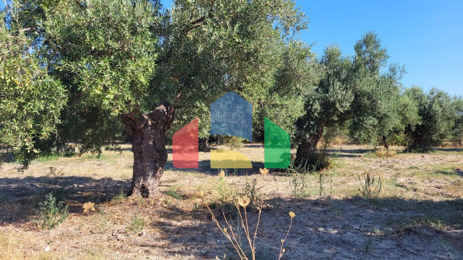 Продаж - Земельна ділянка 3500 m² на Кассандрі (Халкідіки)