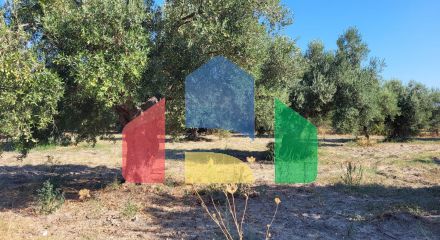 Продаж - Земельна ділянка 3500 m² на Кассандрі (Халкідіки)