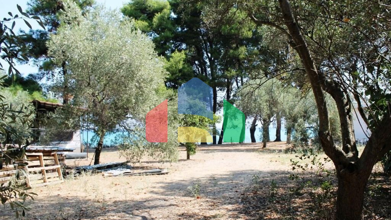 Продаж - Земельна ділянка 8500 m² на Кассандрі (Халкідіки)