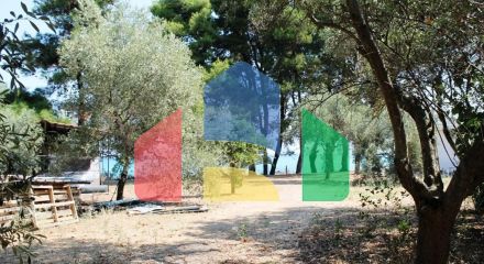 Продаж - Земельна ділянка 8500 m² на Кассандрі (Халкідіки)