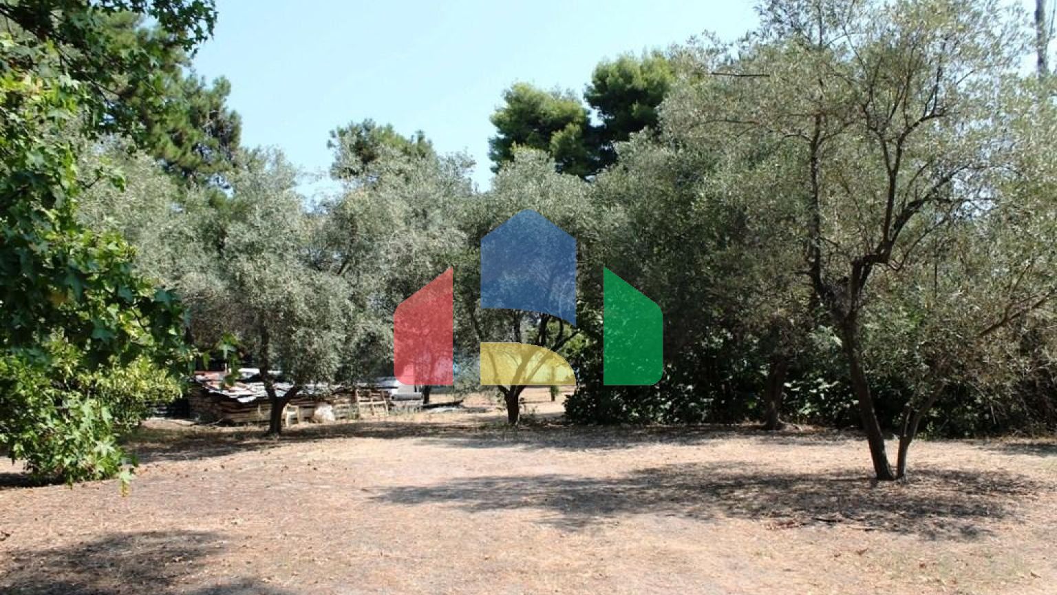 Продаж - Земельна ділянка 8500 m² на Кассандрі (Халкідіки)