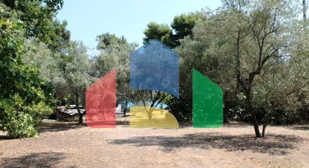 Продаж - Земельна ділянка 8500 m² на Кассандрі (Халкідіки)