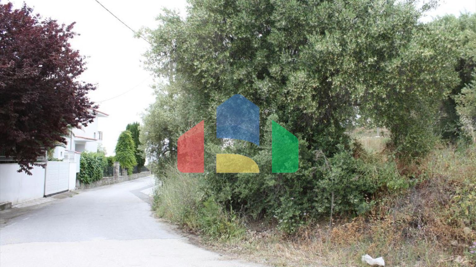 Продаж - Земельна ділянка 6000 m² на Сітонії (Халкідіки)