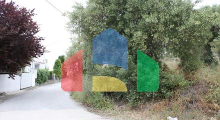 Продаж - Земельна ділянка 6000 m² на Сітонії (Халкідіки)