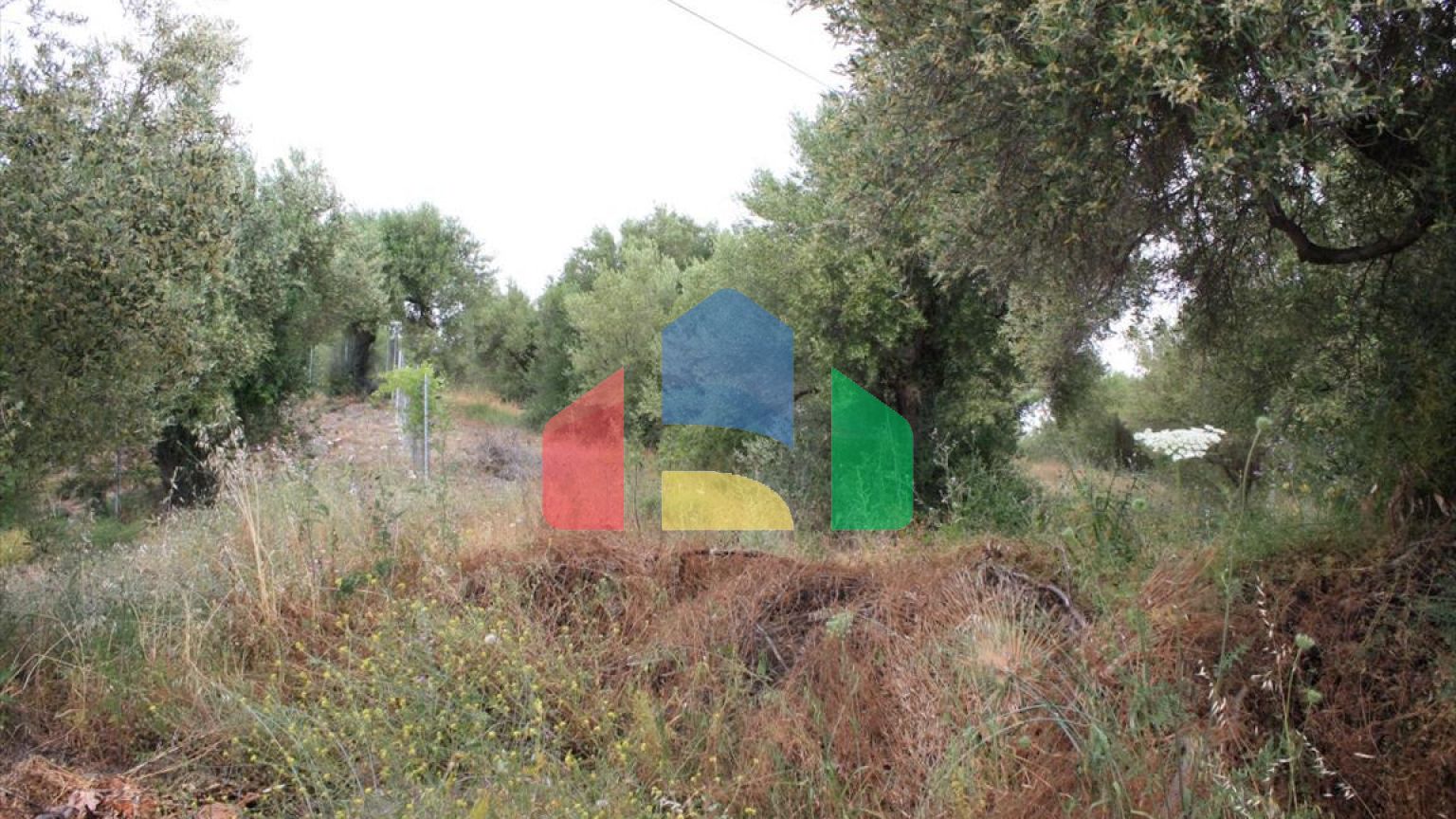 Продаж - Земельна ділянка 6000 m² на Сітонії (Халкідіки)