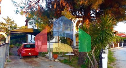 Продаж - Котедж 170 m² на Сітонії (Халкідіки)