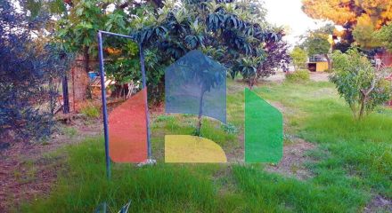 Продаж - Котедж 170 m² на Сітонії (Халкідіки)