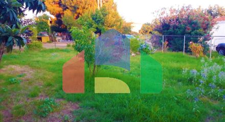 Продаж - Котедж 170 m² на Сітонії (Халкідіки)