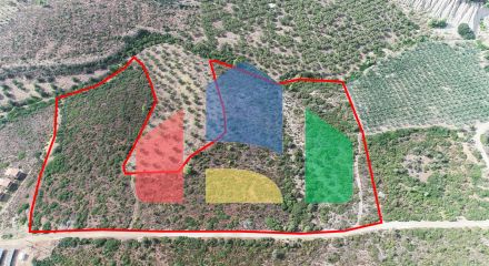 For Sale - Land 37500 m² in Sithonia, Chalkidiki