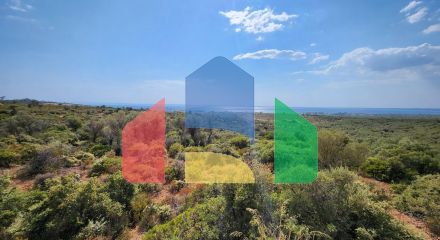 For Sale - Land 37500 m² in Sithonia, Chalkidiki