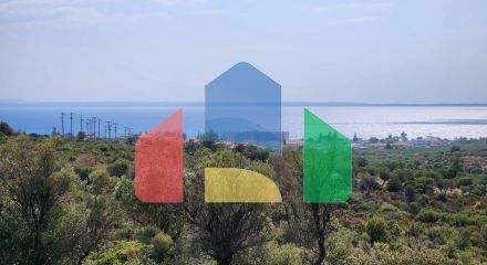 For Sale - Land 37500 m² in Sithonia, Chalkidiki