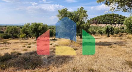 For Sale - Land 37500 m² in Sithonia, Chalkidiki