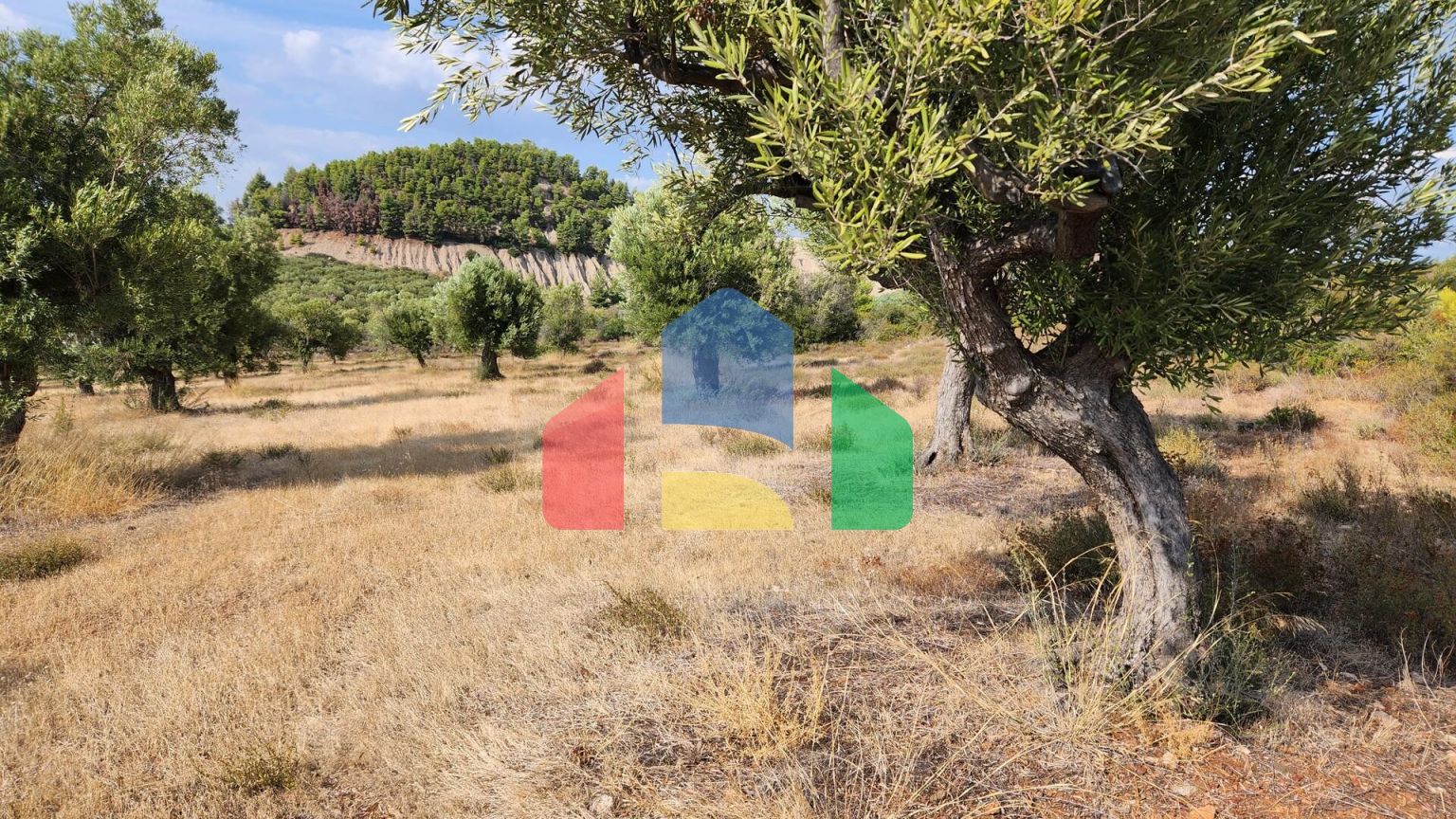 Продаж - Земельна ділянка 37500 m² на Сітонії (Халкідіки)