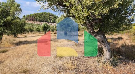 Продаж - Земельна ділянка 37500 m² на Сітонії (Халкідіки) Продаж - Земельна ділянка 37500 m² на Сітонії (Халкідіки)