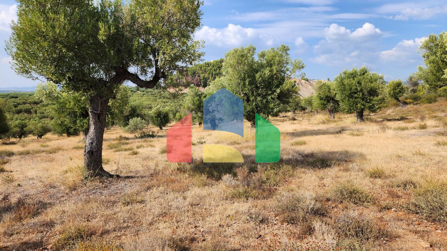 Продаж - Земельна ділянка 37500 m² на Сітонії (Халкідіки)