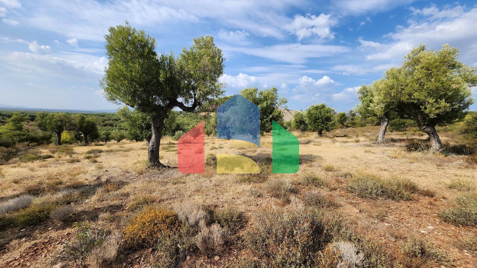 Продаж - Земельна ділянка 37500 m² на Сітонії (Халкідіки)