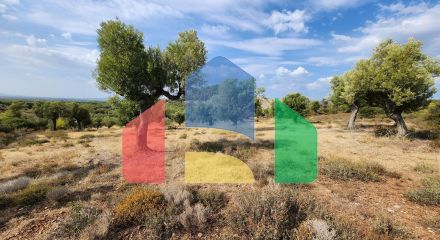 Продаж - Земельна ділянка 37500 m² на Сітонії (Халкідіки) Продаж - Земельна ділянка 37500 m² на Сітонії (Халкідіки)