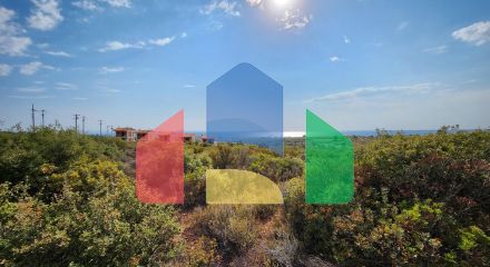 Продаж - Земельна ділянка 37500 m² на Сітонії (Халкідіки) Продаж - Земельна ділянка 37500 m² на Сітонії (Халкідіки)