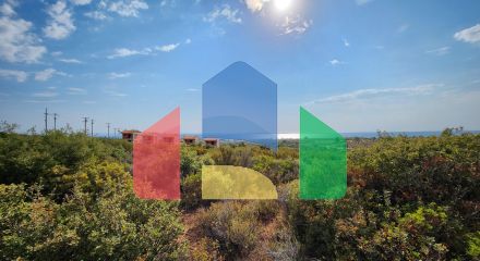 Продаж - Земельна ділянка 37500 m² на Сітонії (Халкідіки) Продаж - Земельна ділянка 37500 m² на Сітонії (Халкідіки)