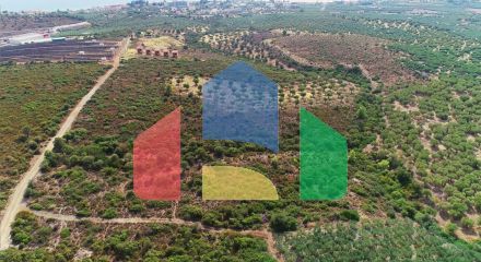 Продаж - Земельна ділянка 37500 m² на Сітонії (Халкідіки) Продаж - Земельна ділянка 37500 m² на Сітонії (Халкідіки)