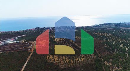 Продаж - Земельна ділянка 37500 m² на Сітонії (Халкідіки) Продаж - Земельна ділянка 37500 m² на Сітонії (Халкідіки)