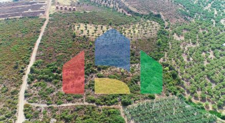 Продаж - Земельна ділянка 37500 m² на Сітонії (Халкідіки) Продаж - Земельна ділянка 37500 m² на Сітонії (Халкідіки)