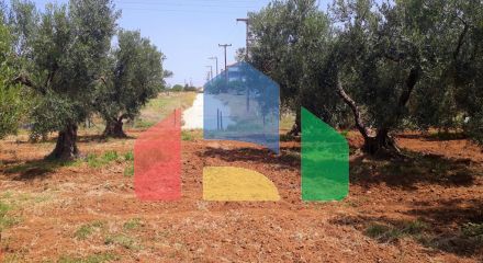 For Sale - Land 800 m² in Sithonia, Chalkidiki