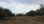 For Sale - Land 4600 m² in Sithonia, Chalkidiki