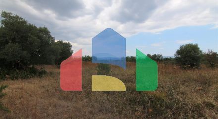 For Sale - Land 4600 m² in Sithonia, Chalkidiki