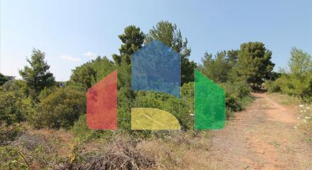 Продаж - Земельна ділянка 6974 m² на Сітонії (Халкідіки)