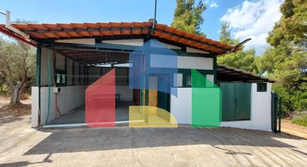 Продажа - Коттедж 160 m² на Ситонии (Халкидики) Продажа - Коттедж 160 m² на Ситонии (Халкидики)