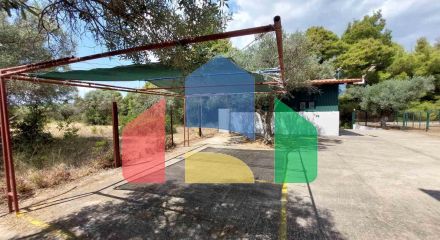 Продажа - Коттедж 160 m² на Ситонии (Халкидики) Продажа - Коттедж 160 m² на Ситонии (Халкидики)