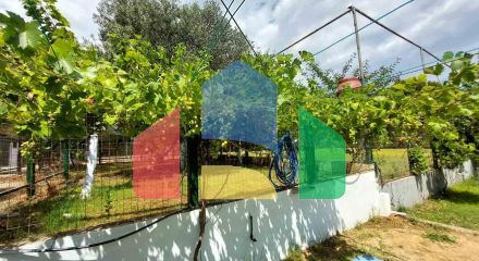 Продажа - Коттедж 160 m² на Ситонии (Халкидики) Продажа - Коттедж 160 m² на Ситонии (Халкидики)